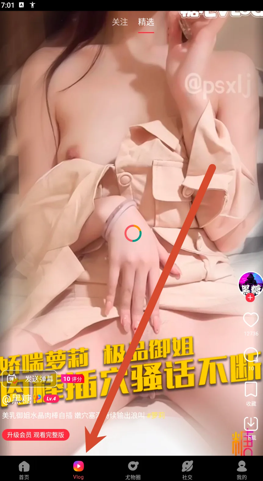 精选栏目中的内容卡片与选中标签